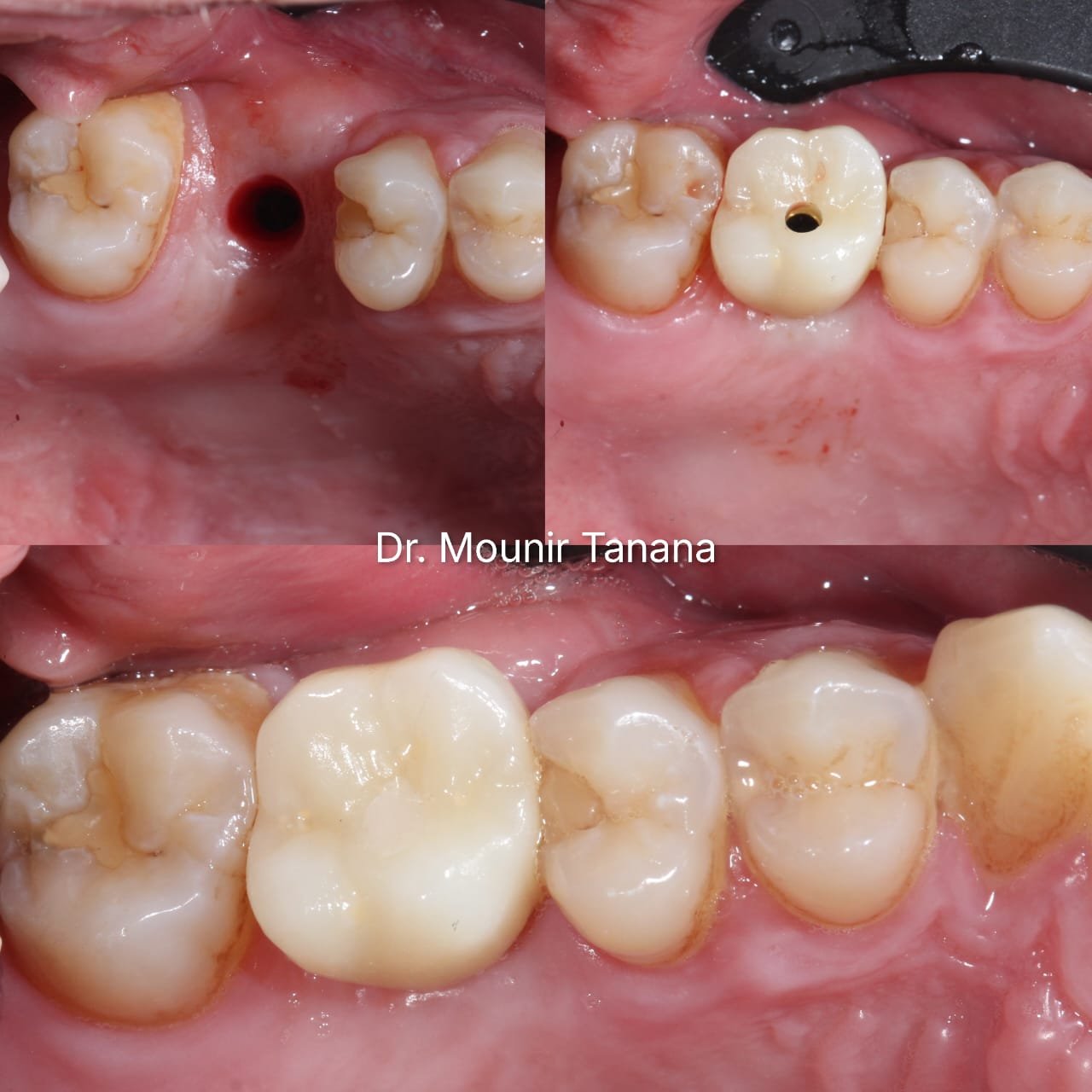 WhatsApp Image 2026-01-16 at 16.13.19